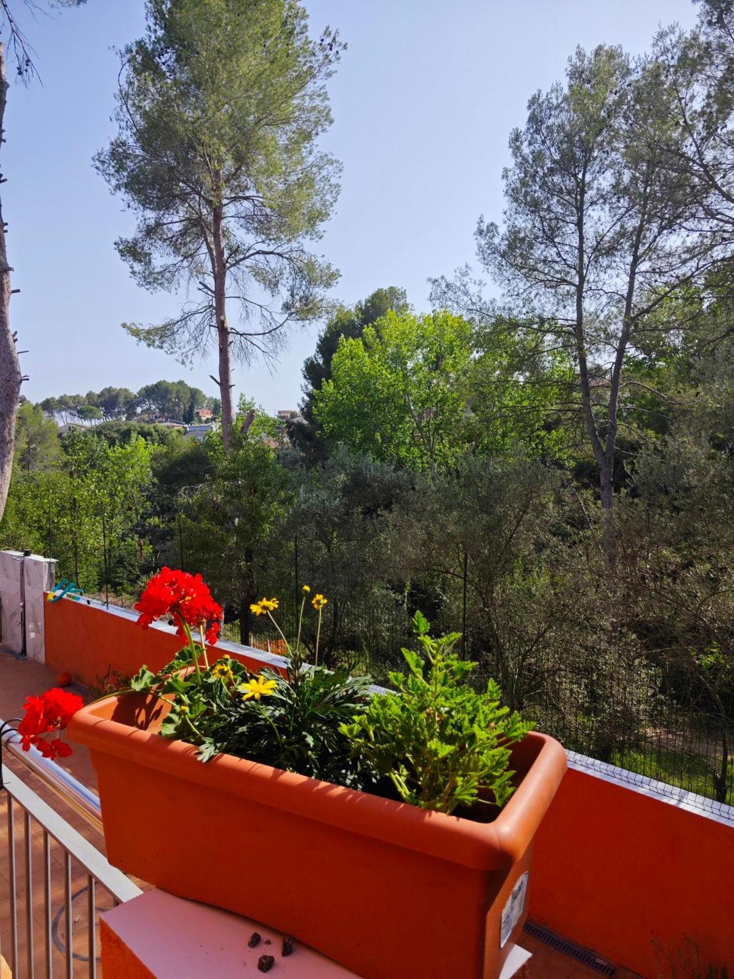Relax House Barcelone Sant Esteve Sesrovires Exterior foto